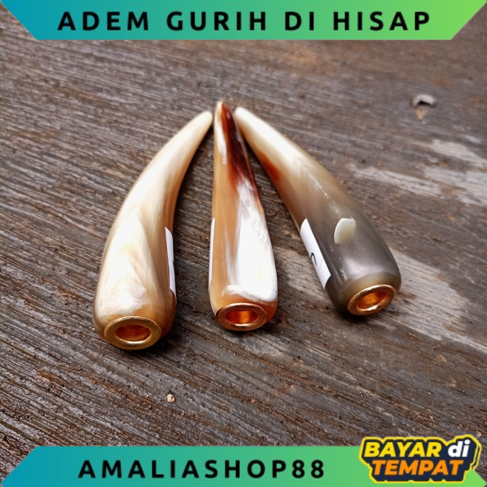 CANGKLONG PIPA TANDUK BULE ASLI