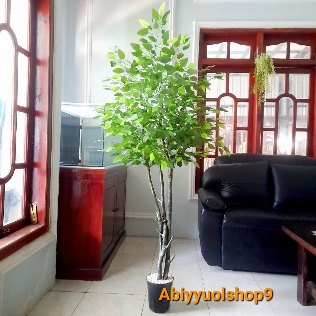 NEW ARRIVAL Pohon Beringin Varigata 3 batang rimbun || Pohon Hias Bercabang || Pohon Artificial Tana