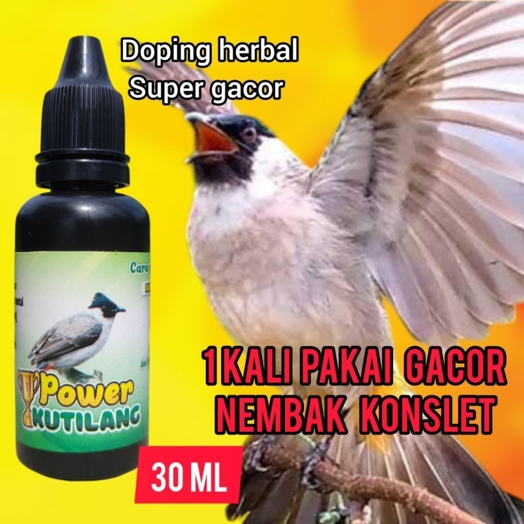 MOSES - vitamin penggacor kutilang bahan dan macetan Dijamin burung kutilang jadi tambah gacor nemba