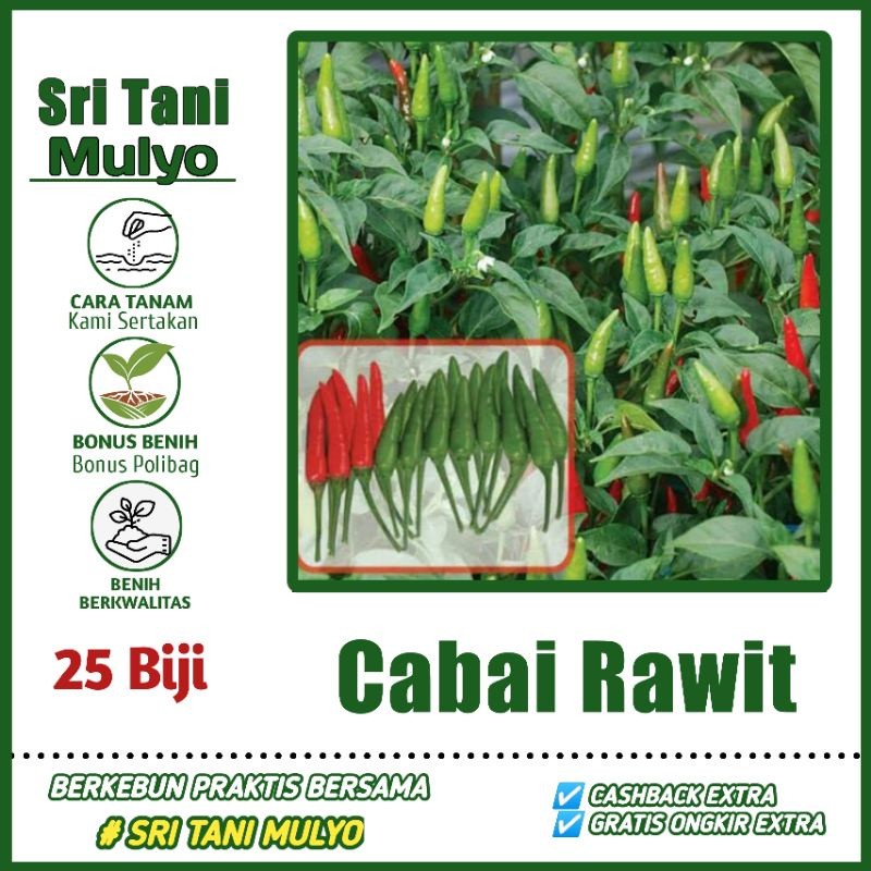 100 Benih BIJI - BENIH CABAI RAWIT HIJAU ROBIN F1 - BIBIT CABE BENIH SAYURAN BIBIT SAYURAN SERIBUAN