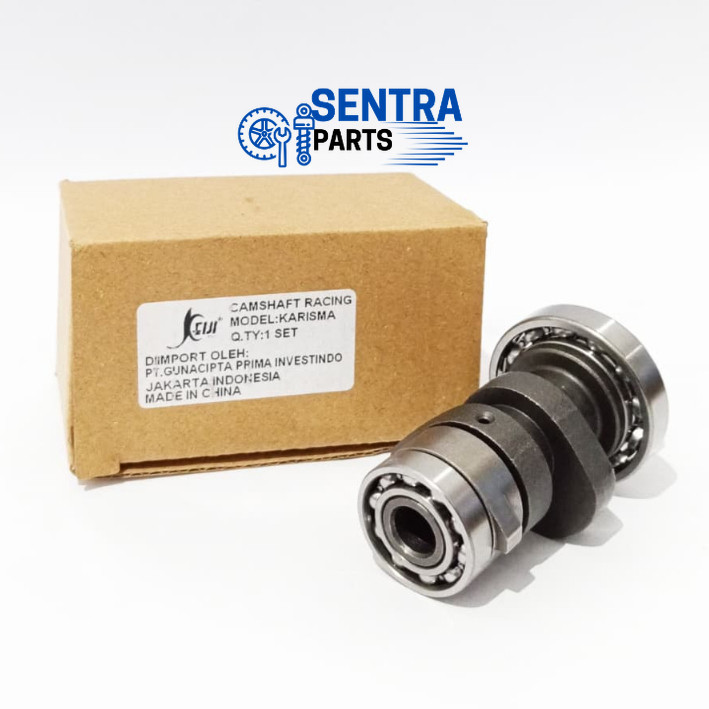 NOKEN AS RACING KARISMA (KPH) KEIJI