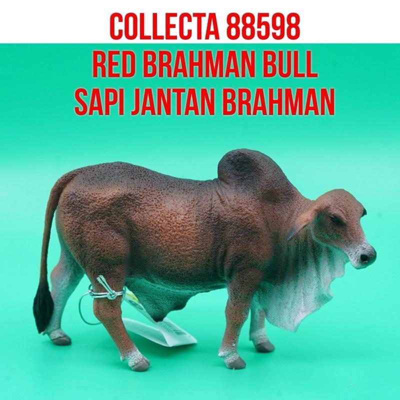 Collecta 88599 Red Brahman Bull Cow Sapi Jantan Brahman Merah  Bos Taurus | Mainan Figure Binatang M