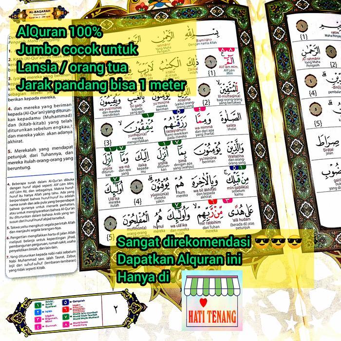 ALQURAN BESAR A3 LANSIA JUMBO TAJWID WARNA TERJEMAH LATIN PERKATA