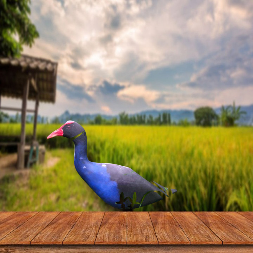 jontrot mandar biru / dekoy boneka mandar besar / pelan burung rawa