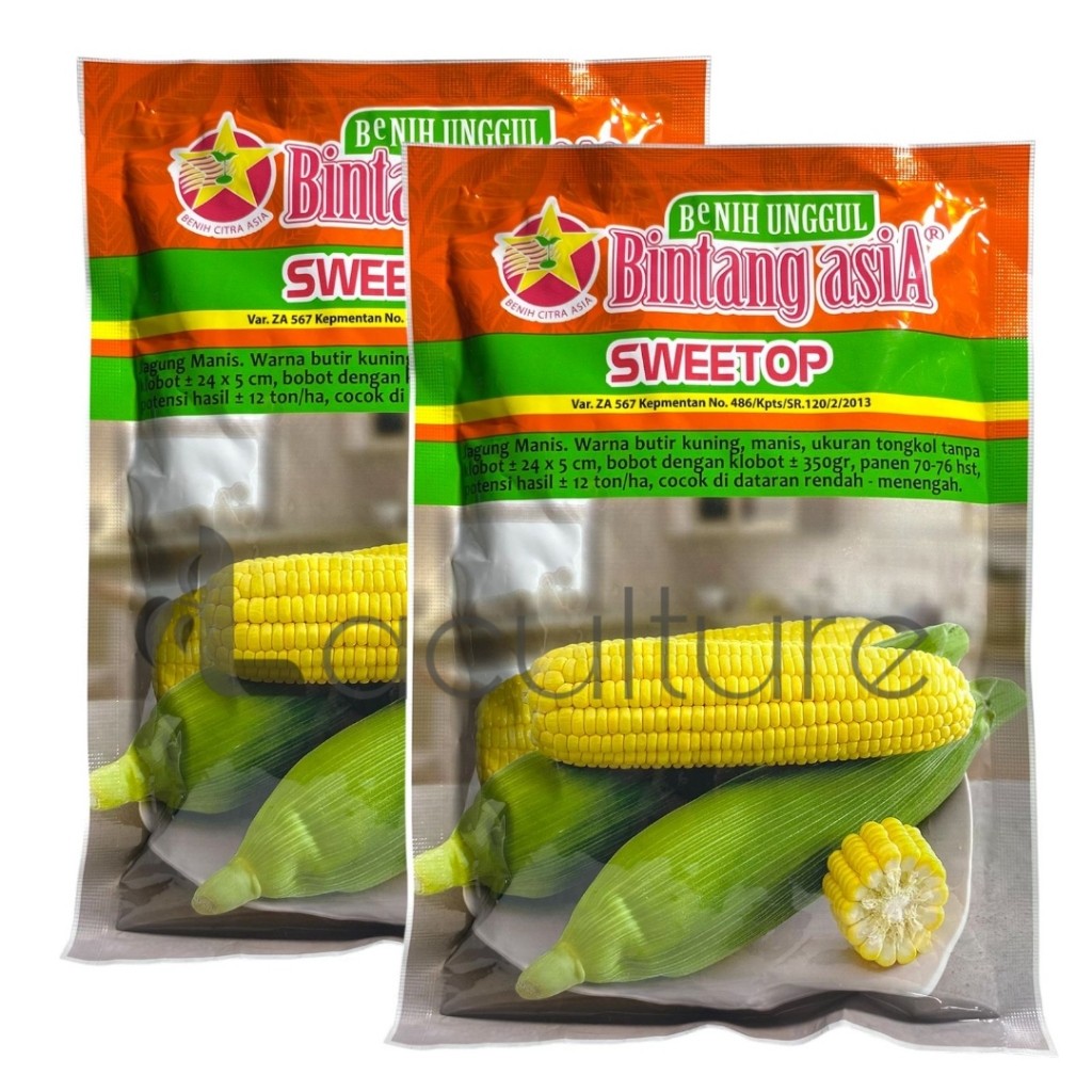 Benih Jagung Manis SWEETOP Isi 250 gram Benih Bintang Asia