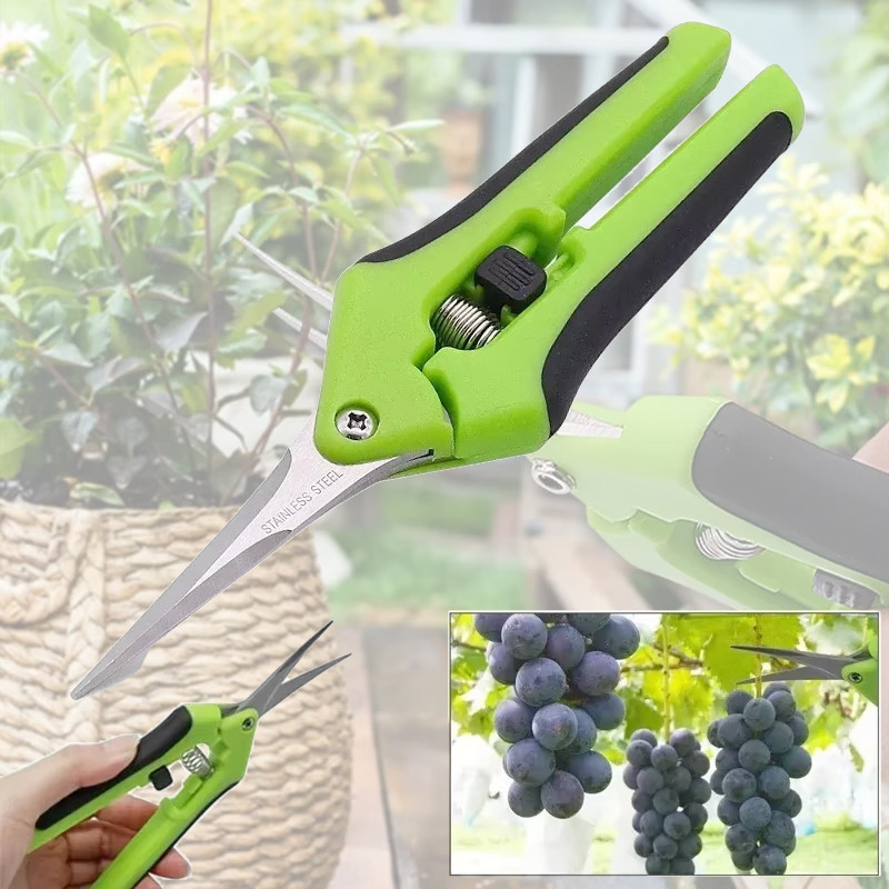 Garden Stainless Steel Flower Scissors Pruning Fruit Pruning Grape Pruning Straight Head Gardening S