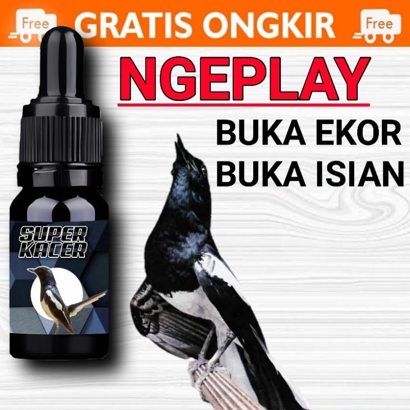 MOSES - Super KACER GACOR Fighter NGOBRA Buka Isian Volume Tembus