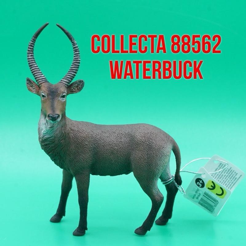 Collecta 88562 Waterbuck Gebegu Antelope Kobus Ellipsiprymnus | Mainan Figure Binatang Miniature Hew