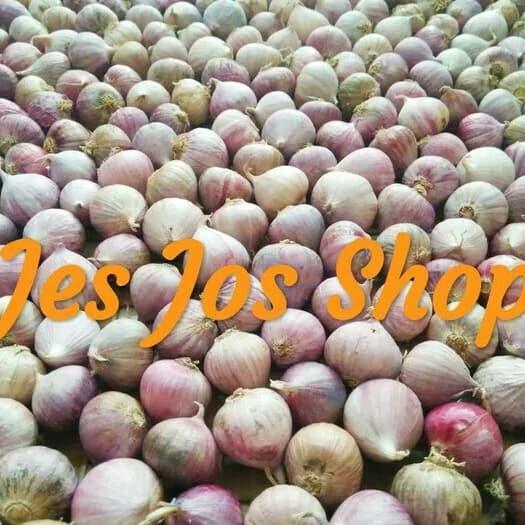 Bawang Putih Tunggal 1 KG