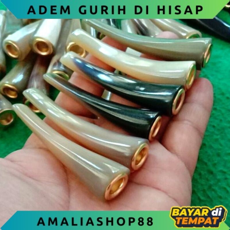 COD PIPA ROKO TANDUK BULE DAN HITAM ADEM PULEN DIHISAP