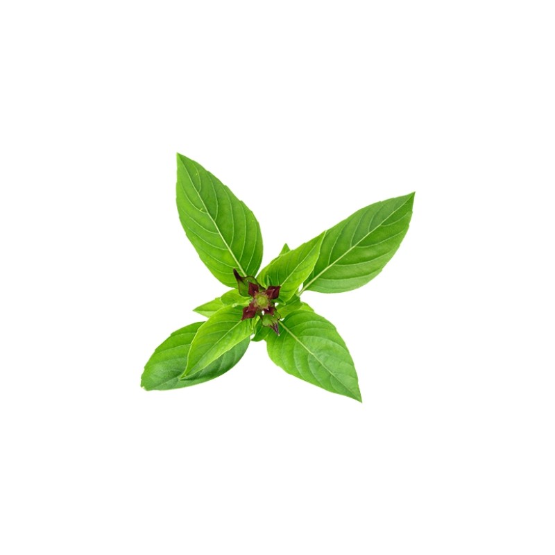 1-2pcs 1800mAh Reargeable Battery For SONY PSP-110 PSP-1001 PSP 1000 Replacement Batteries