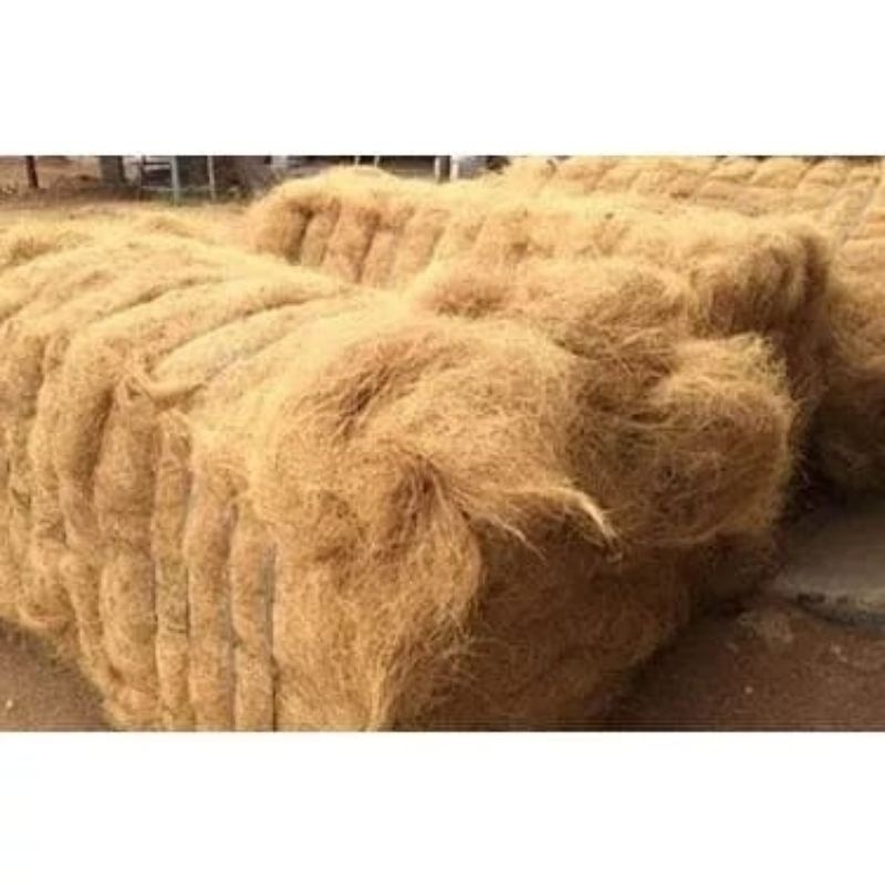 (BISA COD)  Serat serabut kelapa 1kg serabut kelapa cocofiber
