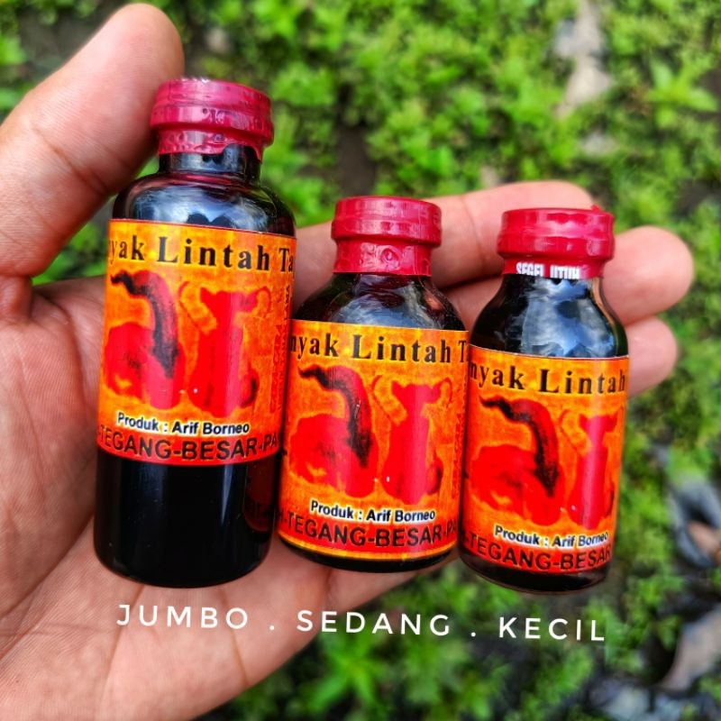 Minyak Lintah Tapa Kalimantan Ukuran 10-30 Ml