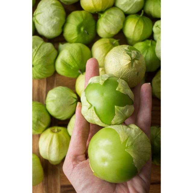 10 Benih Ciplukan Jumbo -MYSEEDGARDEN