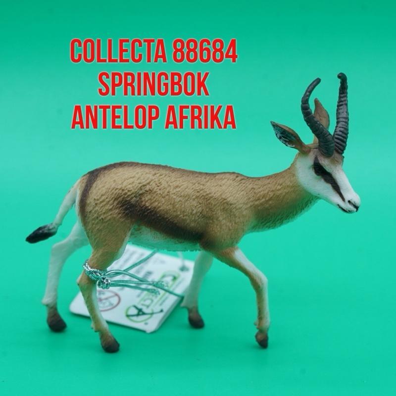 Collecta 88684 Springbok Antelop Afrika Rusa Gazella Antidorcas Marsupialis | Mainan Figure Binatang