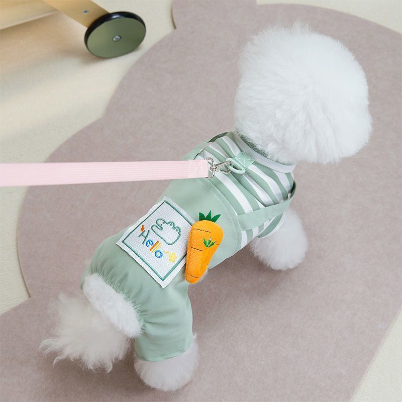 [COD]Anjing kecil yang lucu dengan empat kaki, pakaian dengan tali