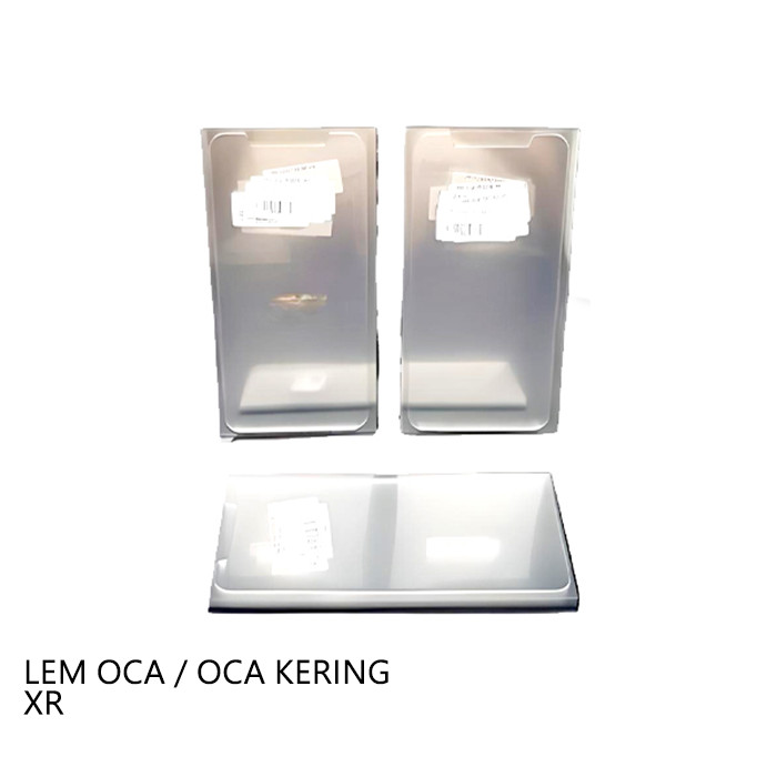 LEM OCA / LEM OCA KERING  XR