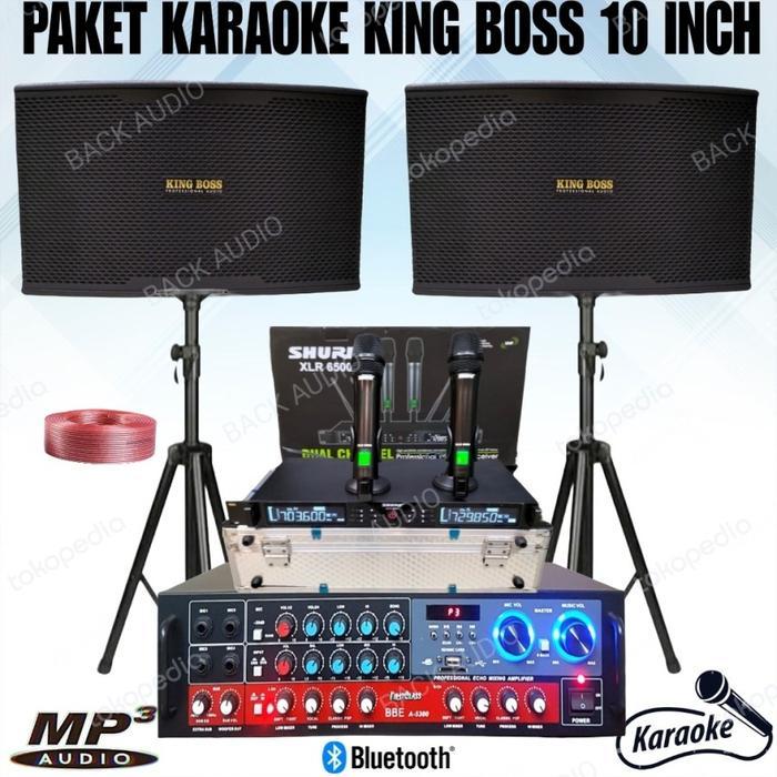 paket karaoke rumahan 10 inch + mic shure paket komplit karaoke top