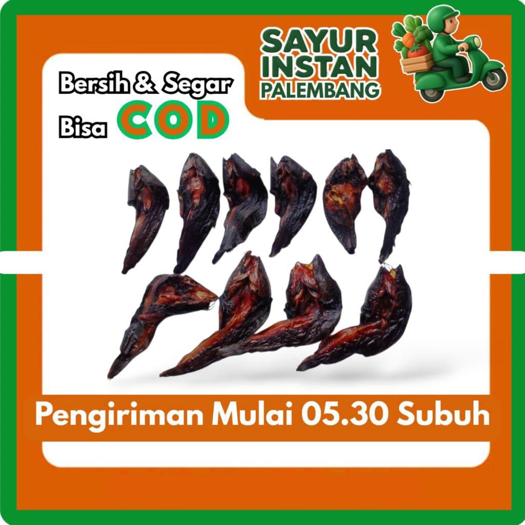 Ikan Salai Salay Sale Lele/Patin - Palembang