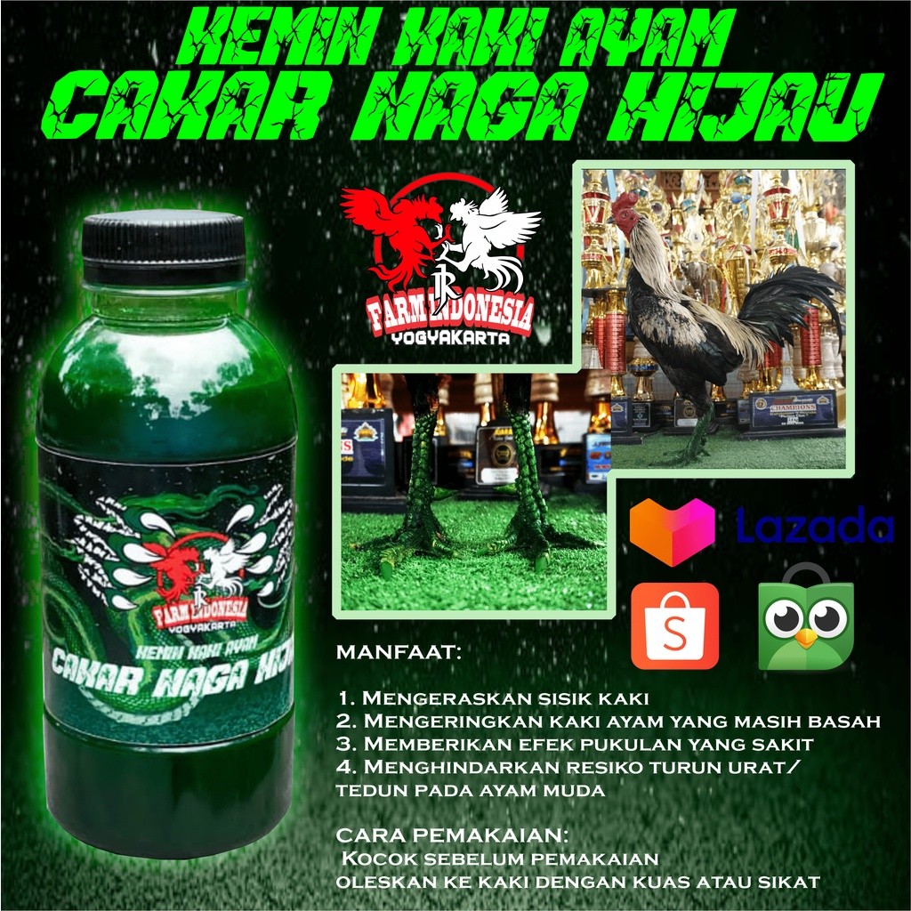 Kemin kaki ayam  CAKAR NAGA HIJAU DAN CAKAR NAGA MERAH