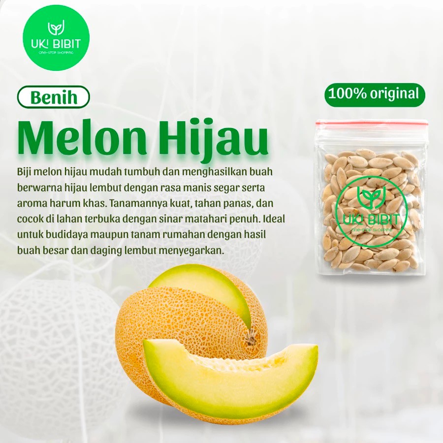 ( 30 Butir ) Benih Biji Melon Hijau | Melon Manis | Melon Musk
