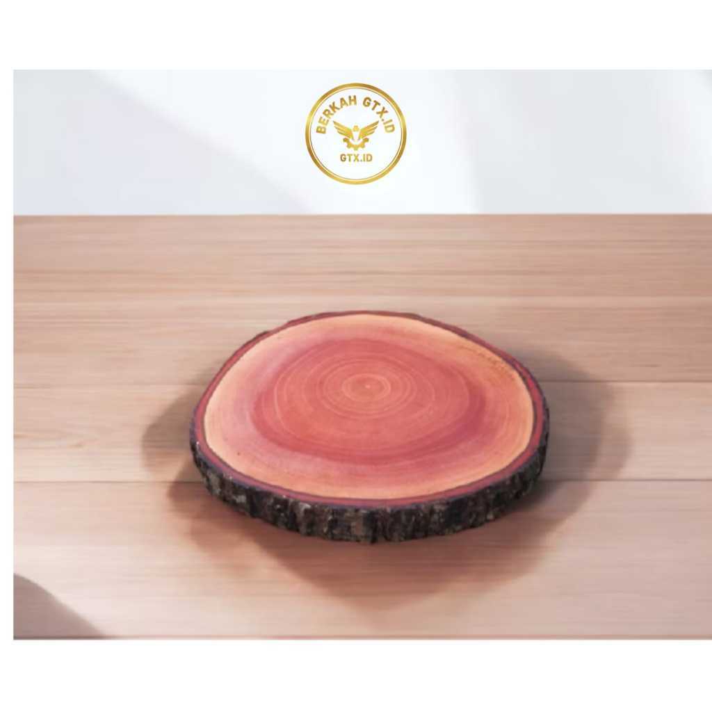 Wood Slice Diameter 13-14 cm Tatakan Kayu Hiasan Dinding Dekorasi / Wood Slice