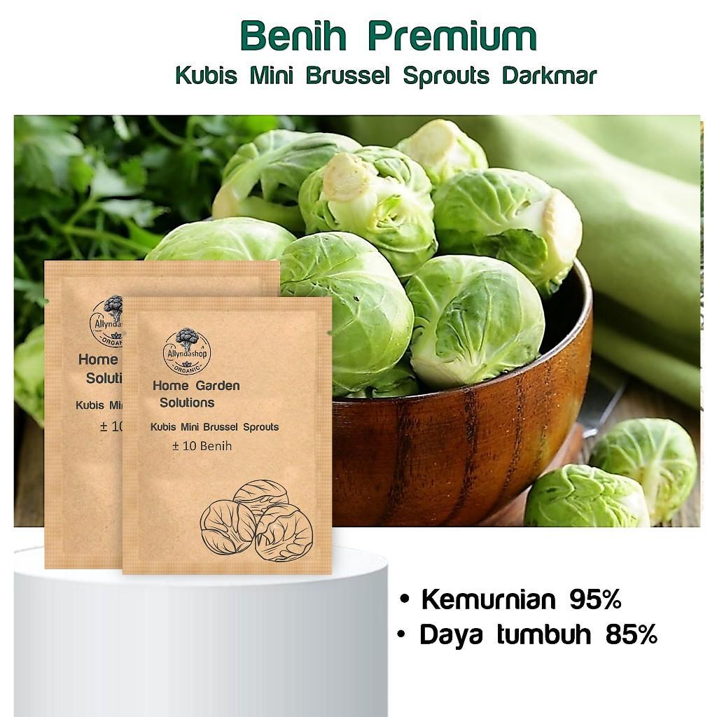 Bibit Benih Biji Sayur Kubis Mini Brussel Sprouts Darkmar -MGS