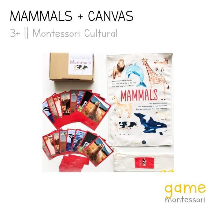 Montessori Animal Classification Mammals, Fish, Insects - Canvas + Cards, Mammals