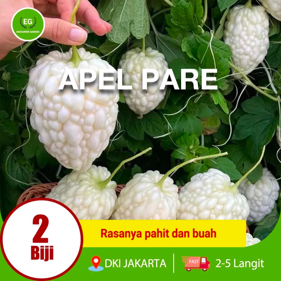 20butir Benih Bibit apel Pare Putih HIGH MOON - Bibit Tanaman Sayur Sayuran Pare Paria Unik Pare Rad