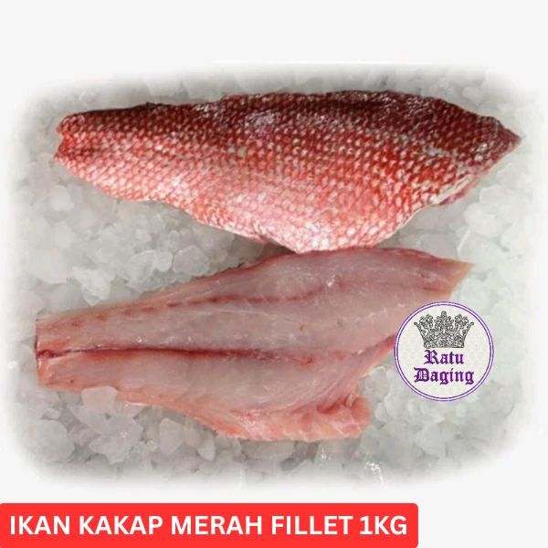 Ikan Kakap Merah fillet @1kg