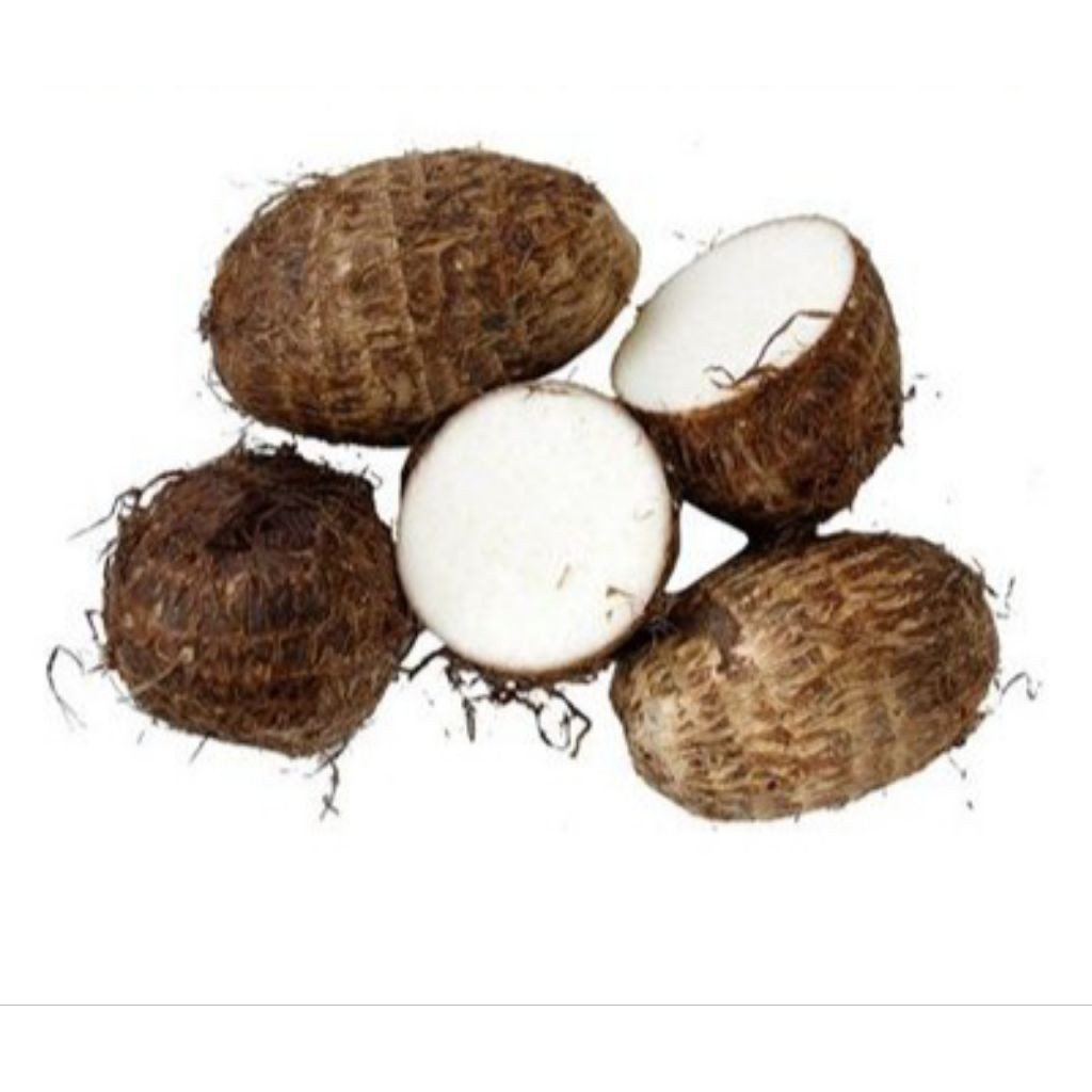 umbi talas/ talas gajah/talas bogor