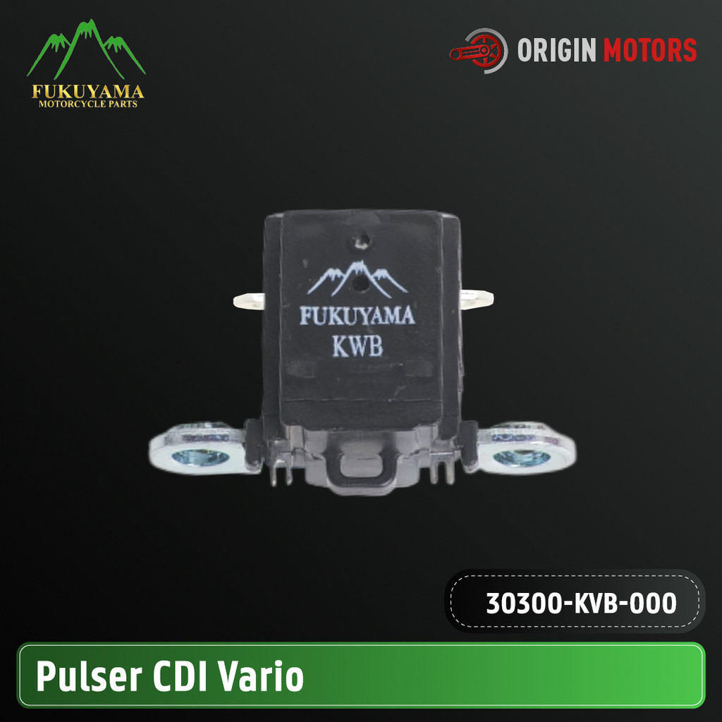 Fukuyama Pulser CDI Vario