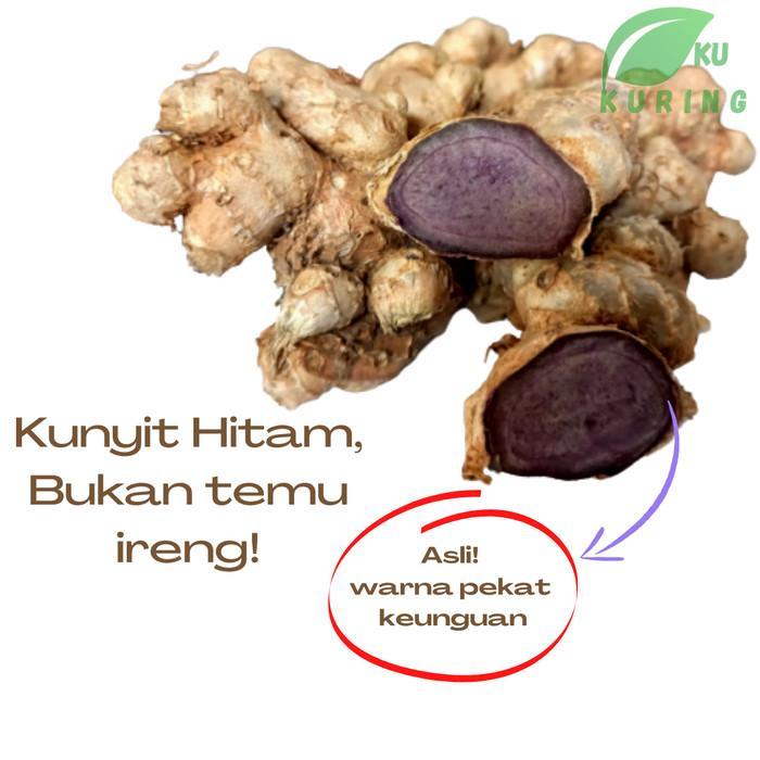 Kunyit Hitam Asli Dijamin Ori 100% Bukan Temu Ireng - 25 Gram - 100 Gram