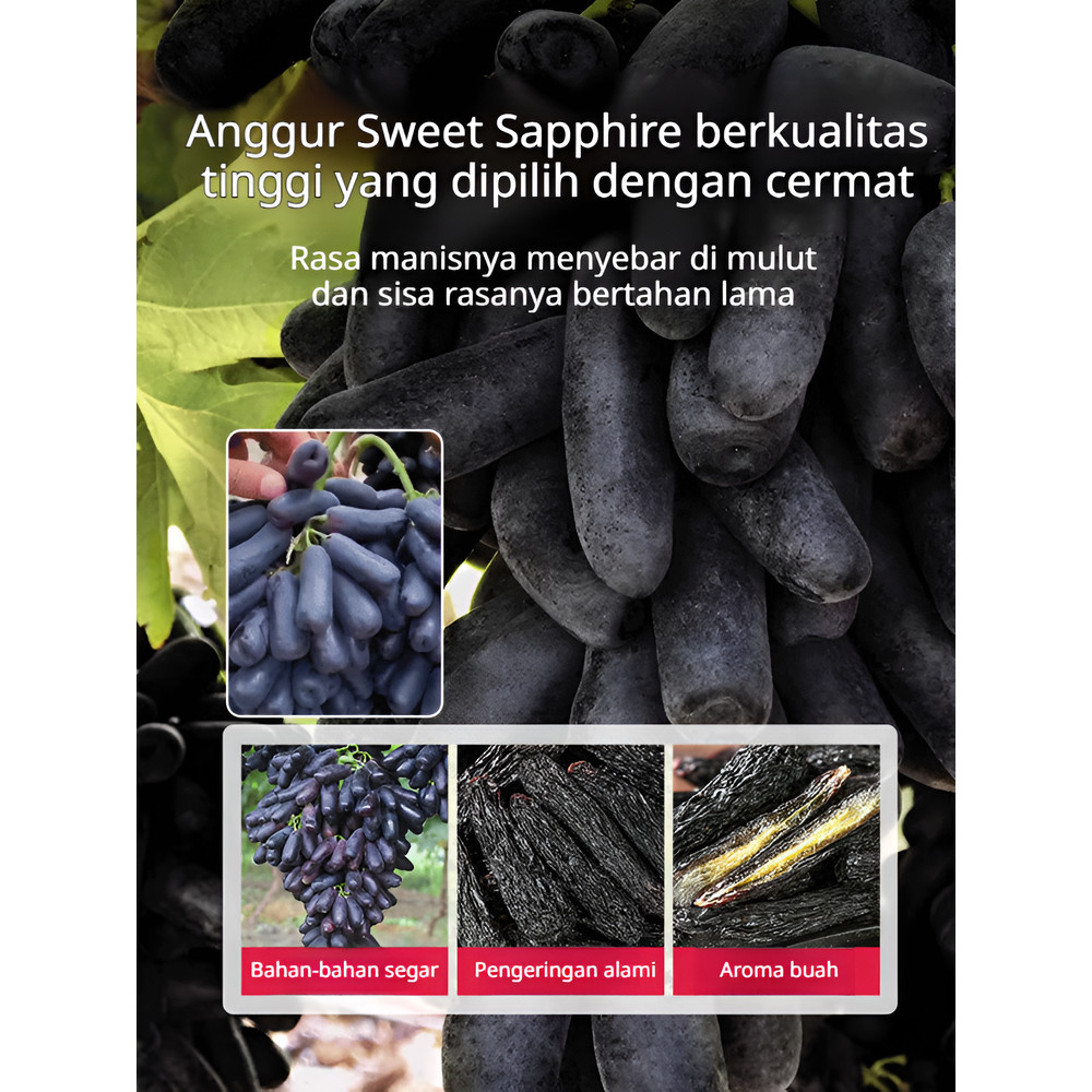Kemasan Premium & Tanpa Biji Kismis Sapphire Hitam / Kismis Blueberry / Camilan Sehat / Diet / Snack