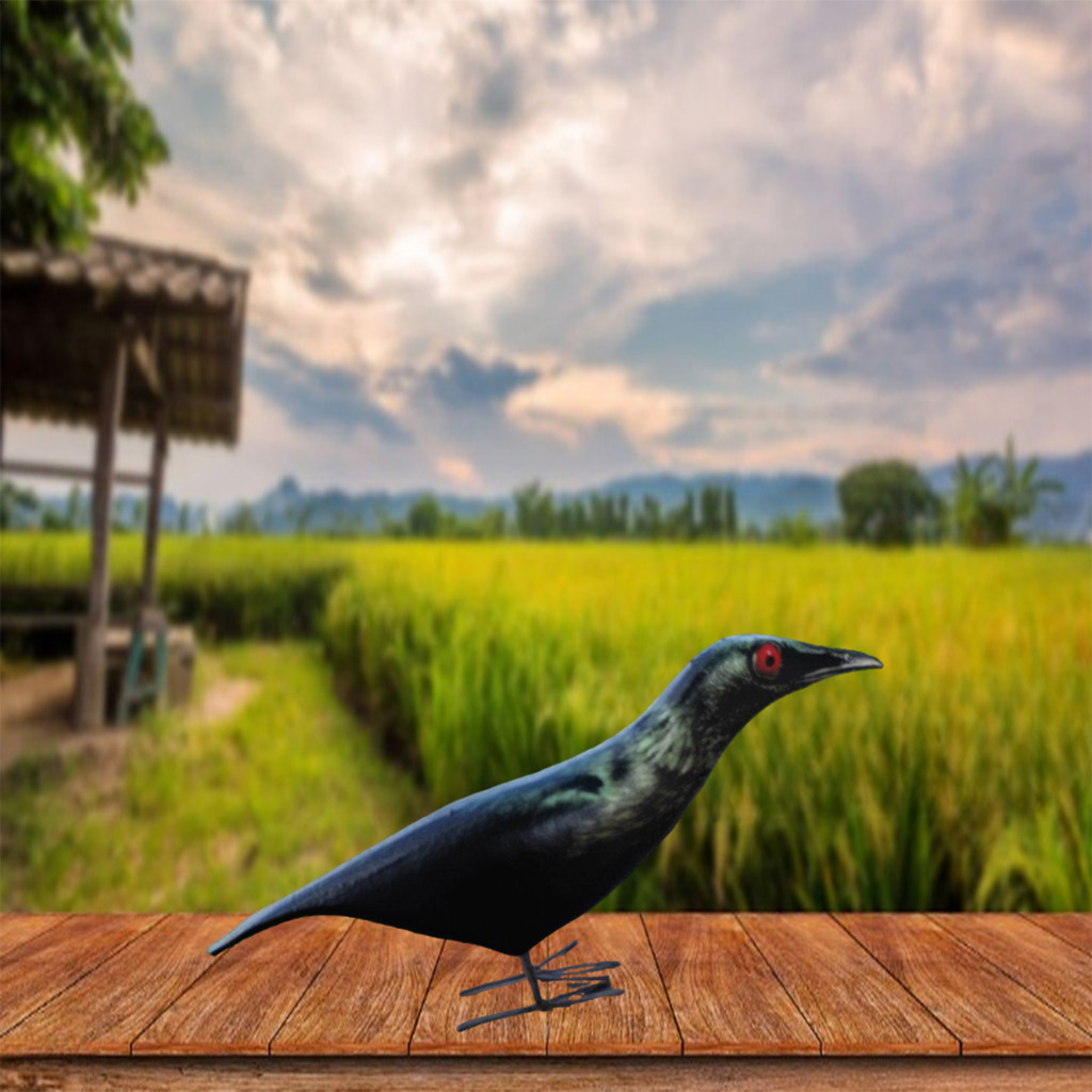 boneka burung cucak keling / jontrot patung manuk geri mirip aslinya