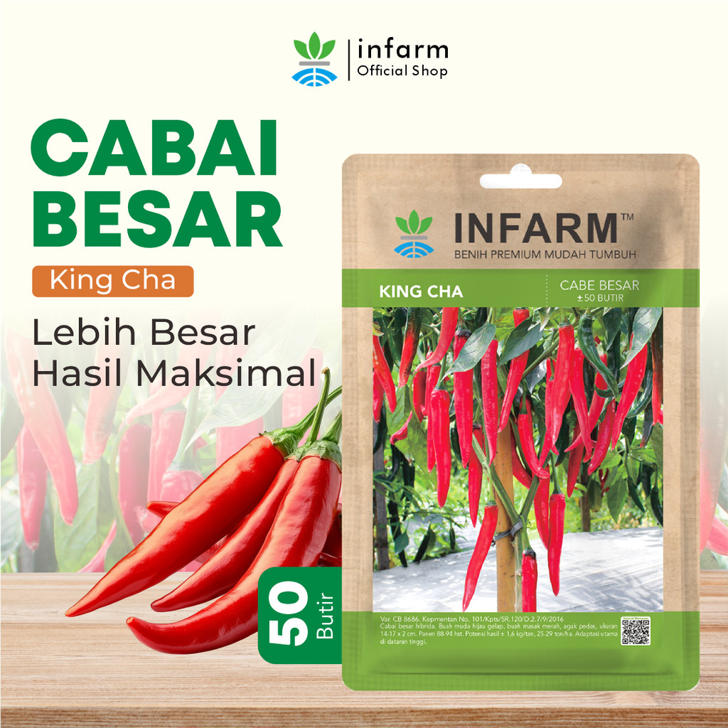 INFARM - Benih Cabai Merah Besar King Cha, Benih Unggul Cabe Merah Besar Bibit Super Cabe Merah