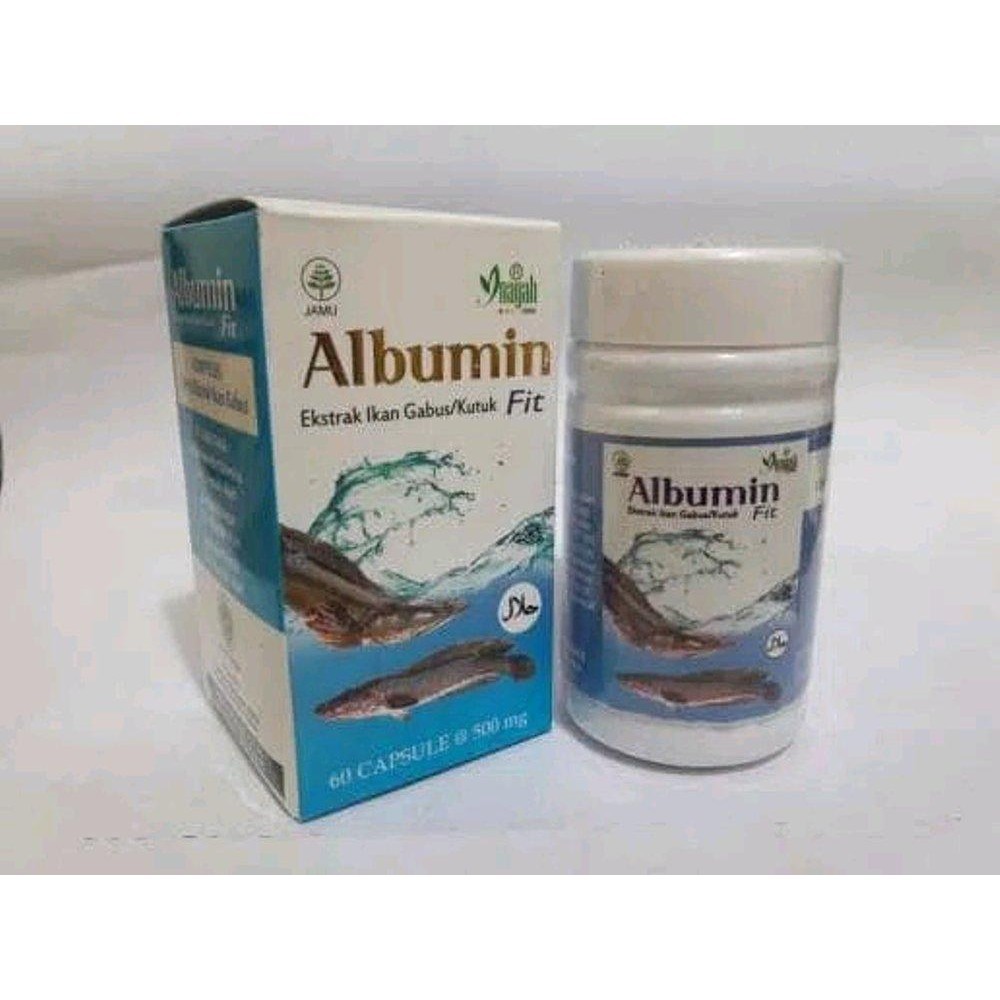 Albumin Fit 60 kapsul - Kapsul Ekstra Ikan Gabus / Kutuk- Originak - 60 Kapsul obat luka dalam pasca