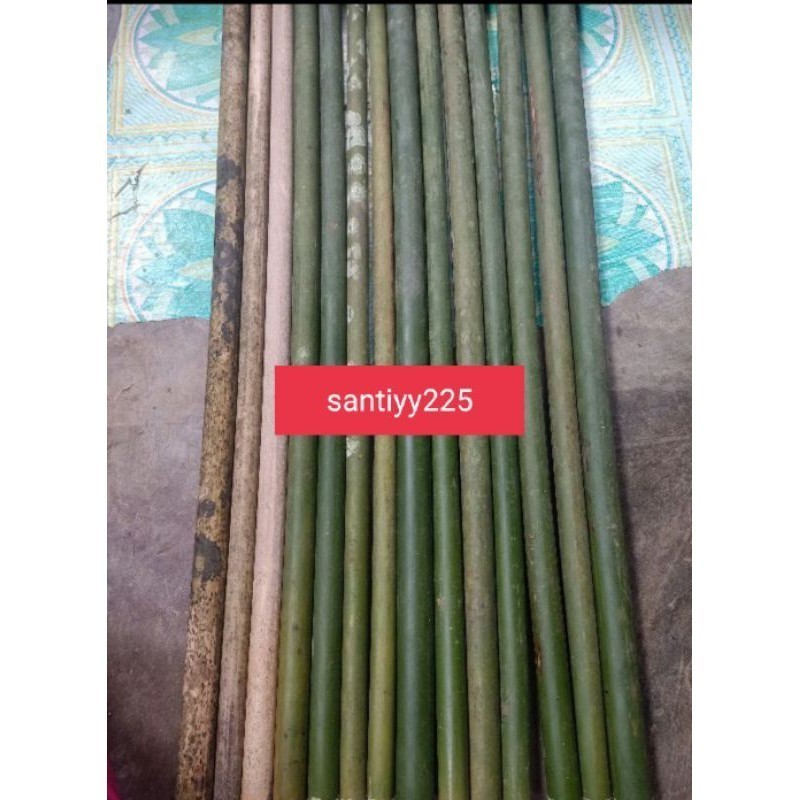 bambu Tamiang 100 cm - sukahurip62