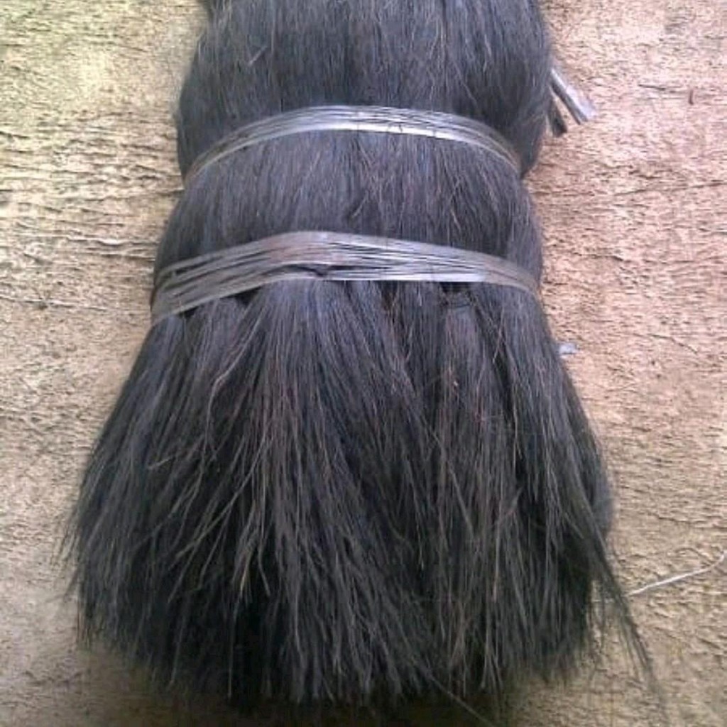 Ijuk Aren Untuk Kakaban Media Filter Kolam Media Bertelur Ikan Lele Dan Ikan