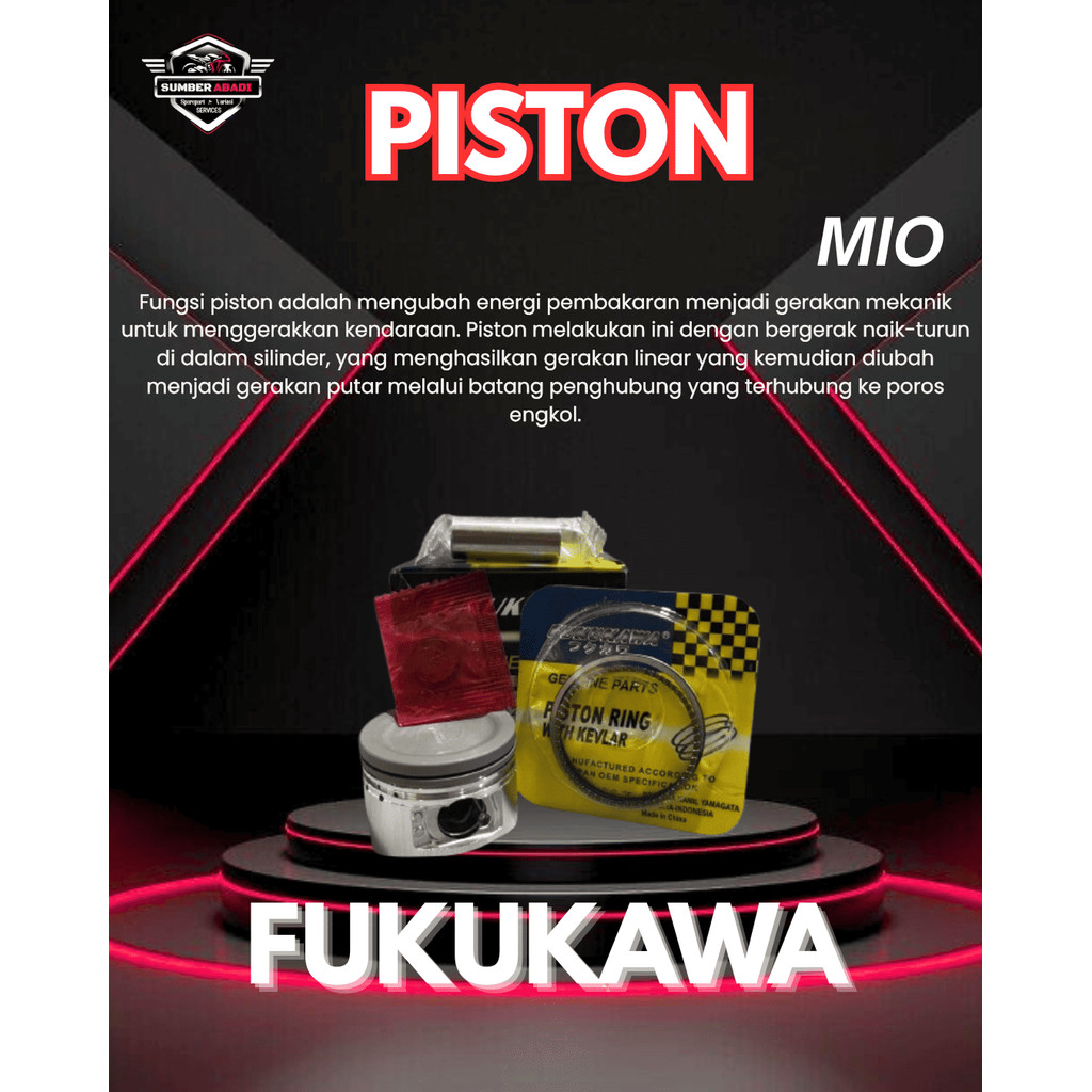 Fukukawa Piston Mio (25)