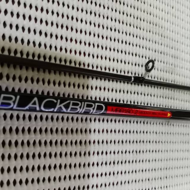 Joran Pancing - Maguro Black Bird