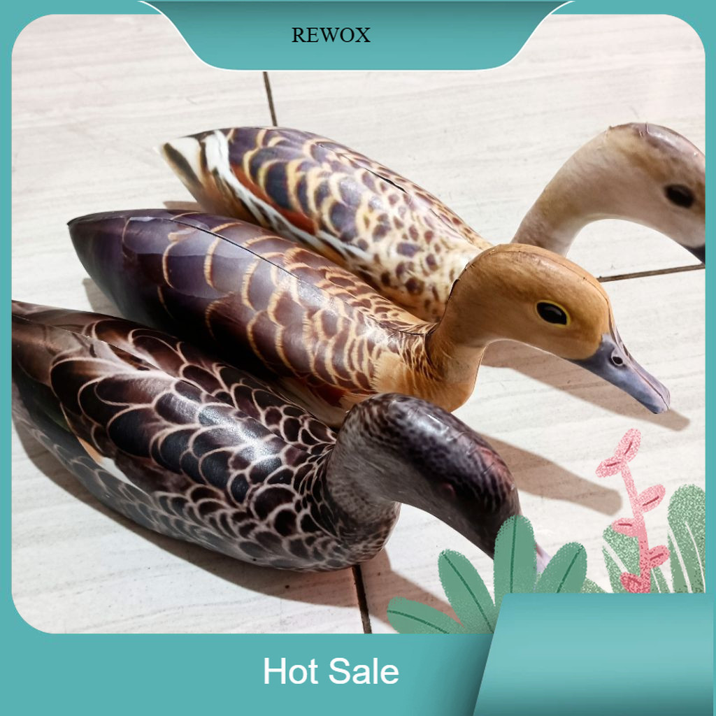 COD Jontrot belibis alis kuning belibis batu belibis kembang / pikat burung belibis tahan penyok mir