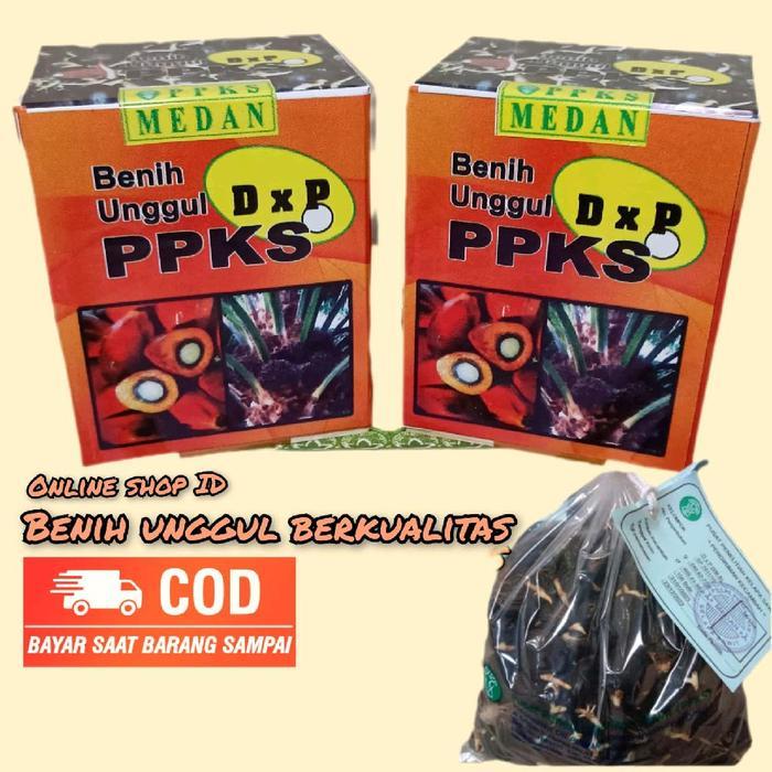 PROMO  bibit unggul berkualitas medan isi 250 butir siap semai Benih super - ppks medan, pelepah pan