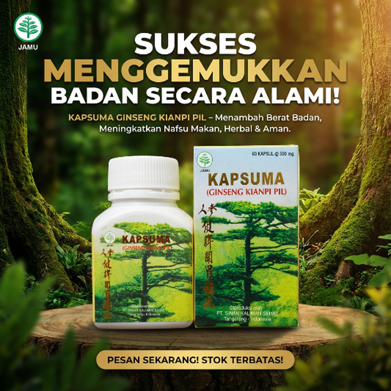 TOKO HERBAL BAI FU READYYY BPOM Kapsuma Kianpi Pil Penggemuk Badan Wisdom ASLI Original - Ginseng Ki