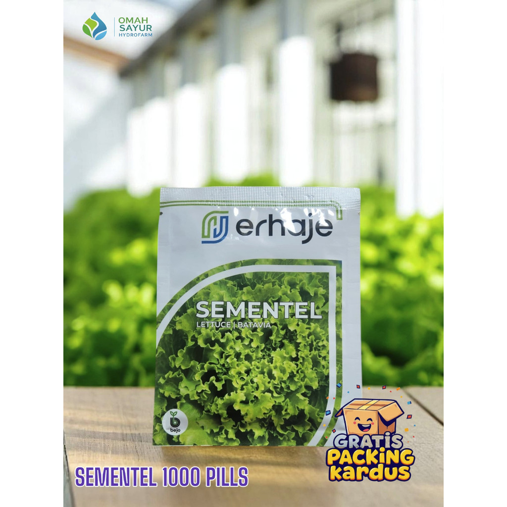 SALE[1000 Pills] Benih Selada Bejo SEMENTEL Benih Lettuce Batavia By Bejo Seeds Kemasan 1000 PillsTE