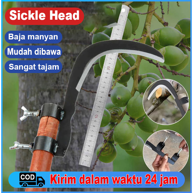 Kepala Sabit Multifungsi Bahan Baja Mangan 65# Sabit Pemangkas Rumput Dapat Memangkas Cabang Adjusta