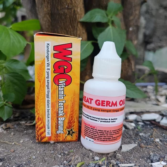 WGO WHEAT GERM OIL VITAMIN TERNAK BURUNG LOVE BIRD FALK MACAU BLACKTHROAT KENARI