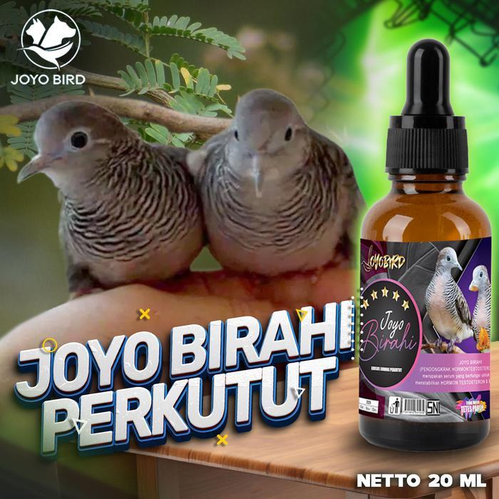 VITAMIN BURUNG PENDONGKRAK BIRAHI TESTOTERON & ESTEROGEN | OBAT BURUNG PENDONGKRAK BIRAHI BURUNG | M