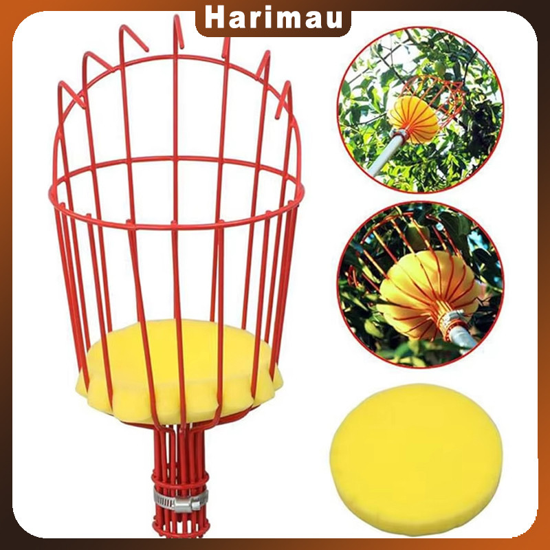 Alat Pemetik Buah/alat Petik Buah Tinggi/alat Petik Buah Mangga Tinggi /pemetik Buah Multifungsi/ala