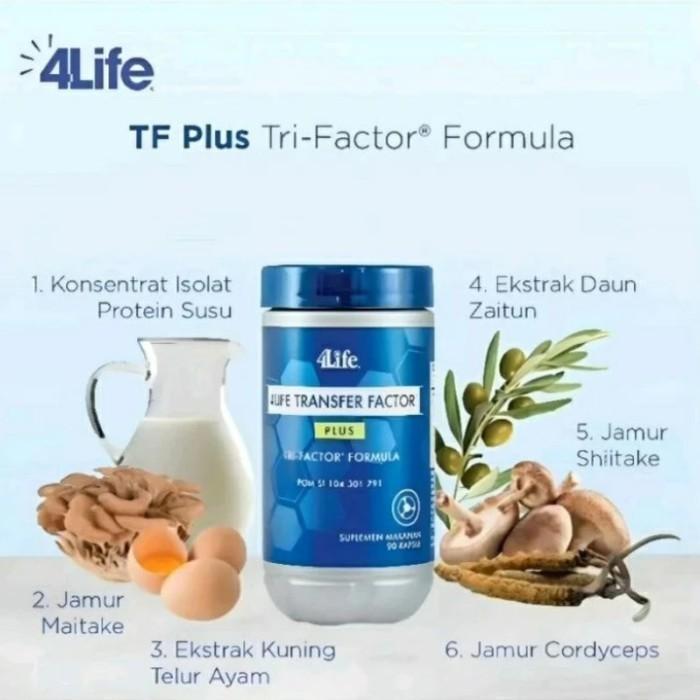 Ready PAKET 3 BOTOL 4LIFE TRANSFER FACTOR PLUS ASLI ORIGINAL 100% TRI FACTOR FORMULA ISI 90 CAPSUL B
